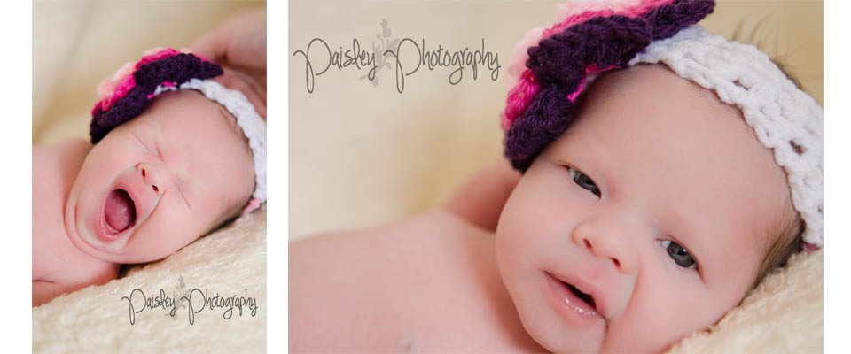 Airdrie Newborn Photos