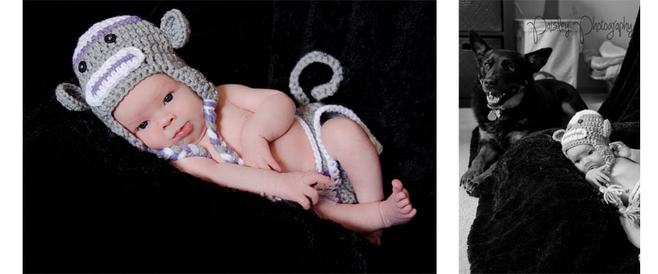 Calgary Newborn Photographer