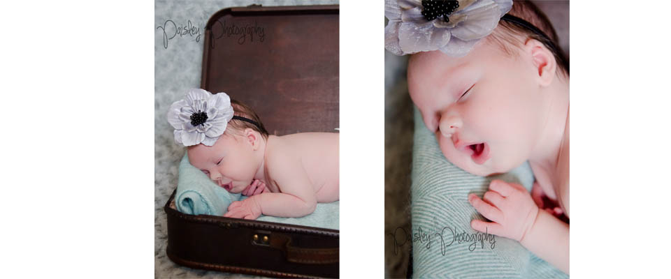 Calgary Newborn Photography