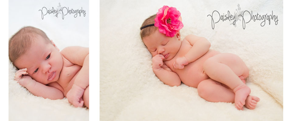 Calgary Newborn Photographer