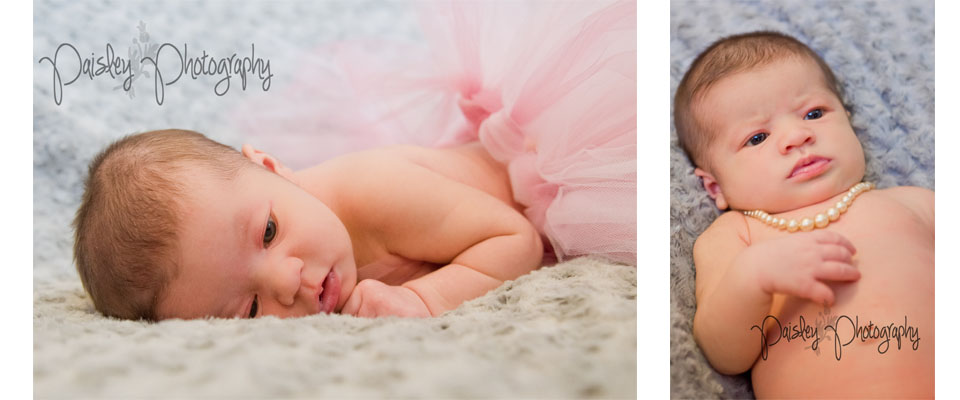 Calgary Newborn