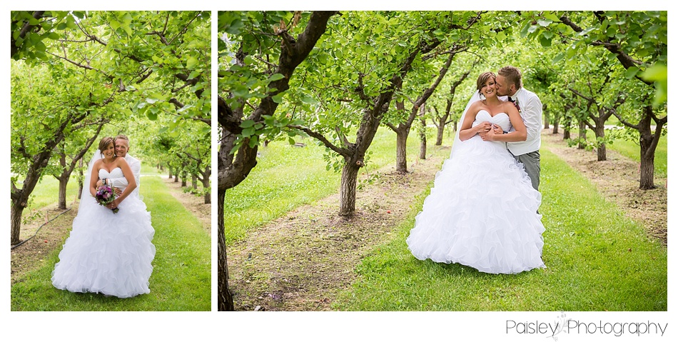 Orchard Wedding Photography, Orchard Wedding, Kelowna Wedding, Calgary Wedding Photography, Country Wedding Photography, Bride & Groom Wedding Photography, 