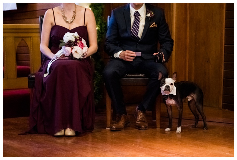 Dog Ring Barer Wedding Photography