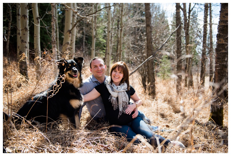 Maternity Photography with Dog Cochrane