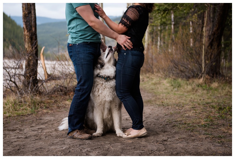 Engagement Photography With Dogs Calgary 