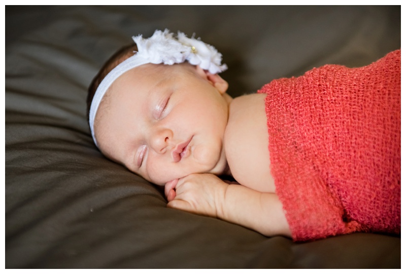 Newborn Photos calgary