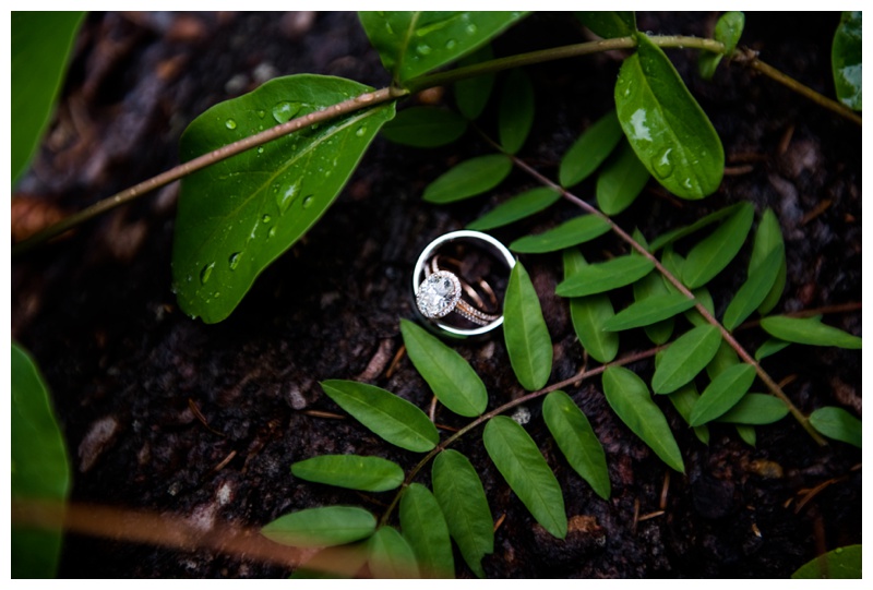 Rose Gold Oval Engagement Ring