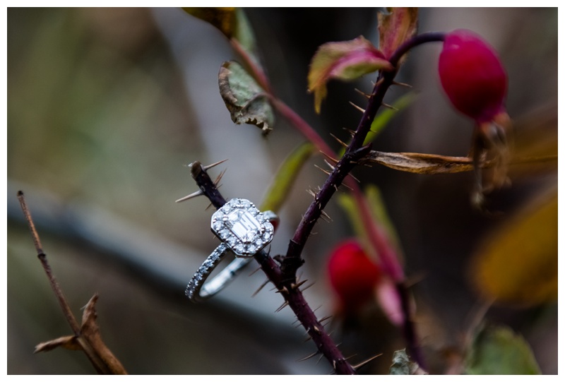 Emerald Cut Halo Engagement Ring 