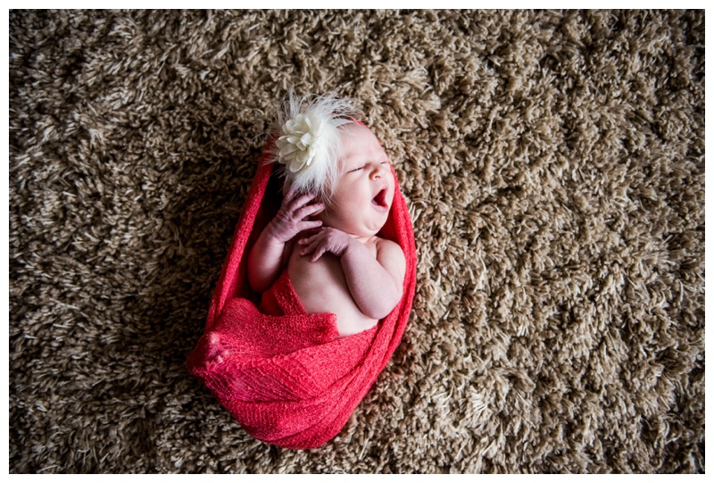 Newborn Photography Okotoks 