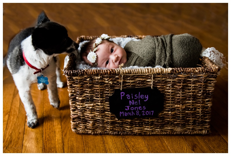 In Home Newborn Photography Okotoks 