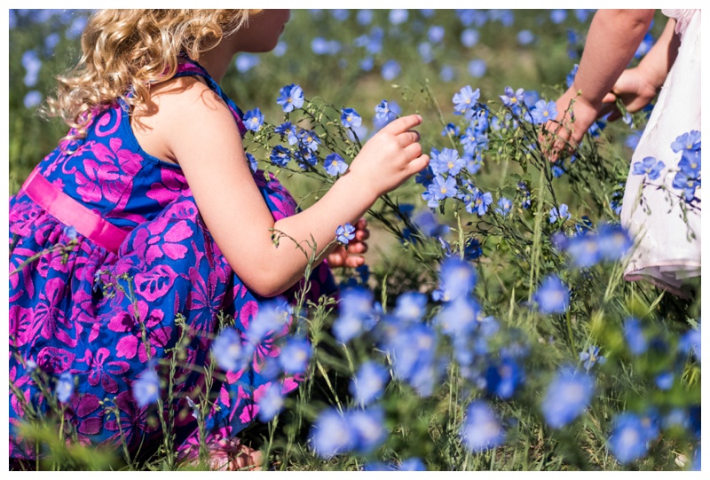 Calgary Family Photographer