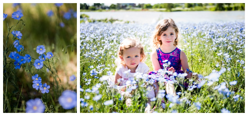 Calgary Park Family Photos