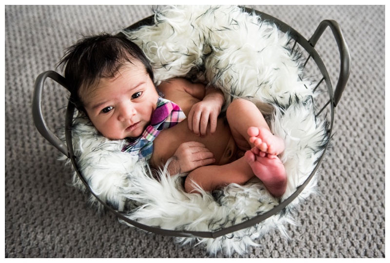 Newborn Photos Chestermere