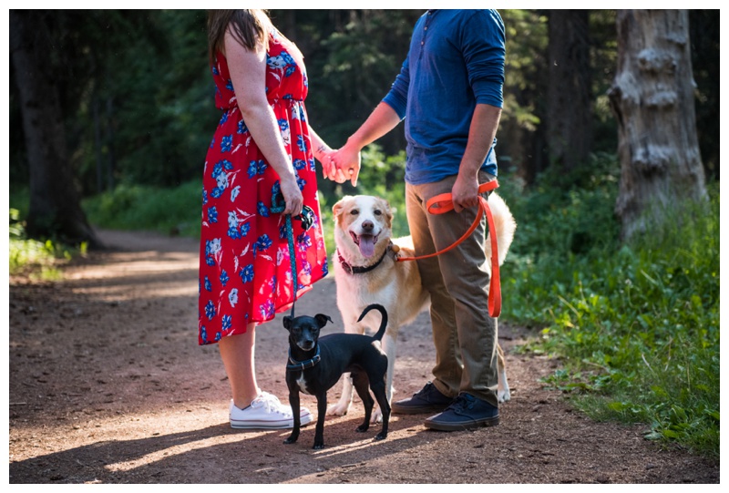 Dogs In Engagement Photo Session Calgary