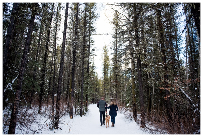 Troll Falls Kananaskis Engagement Photos