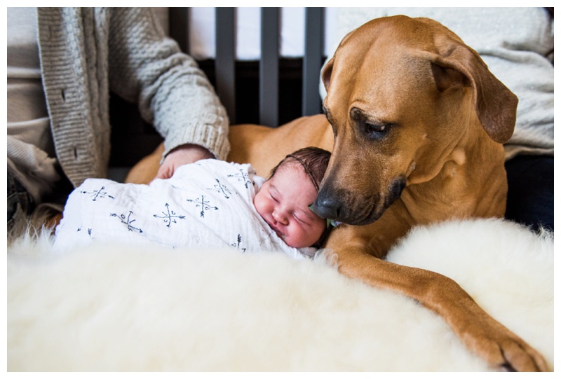 Calgary In Home Newborn Photos