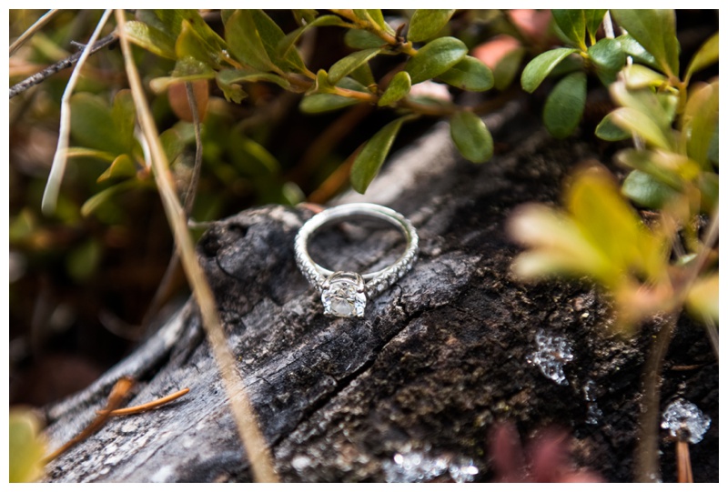 Mountain Engagement Photos - Canmore Alberta