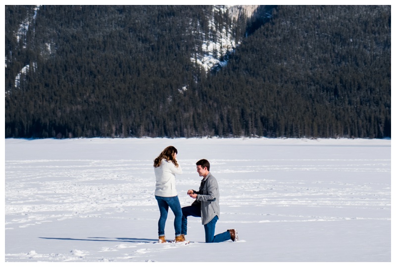 Banff Proposal