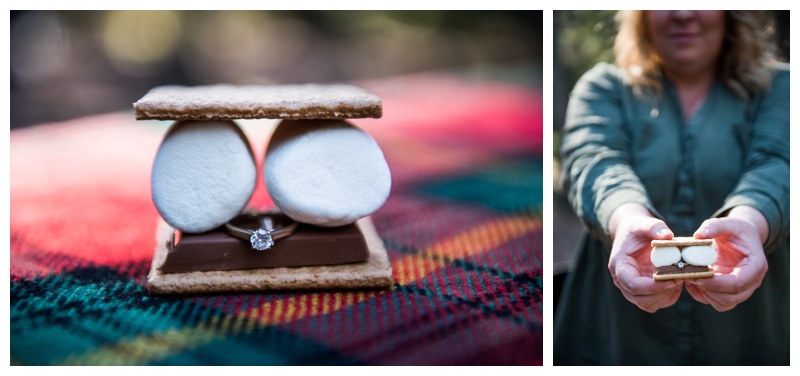 Smore Themed Engagement Photos