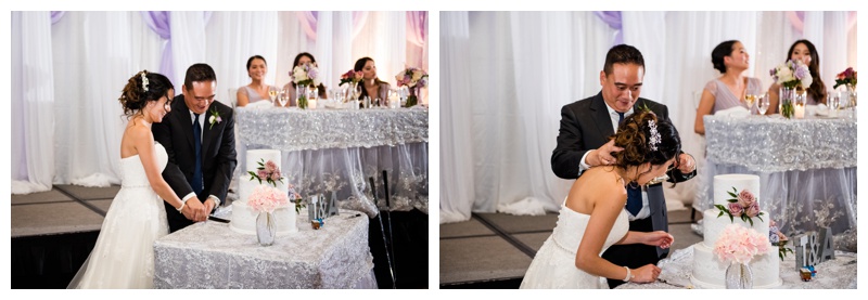 Cake Cutting - Calgary Hyatt Wedding Reception