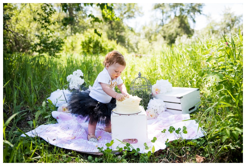 Calgary Cake Smash Photos