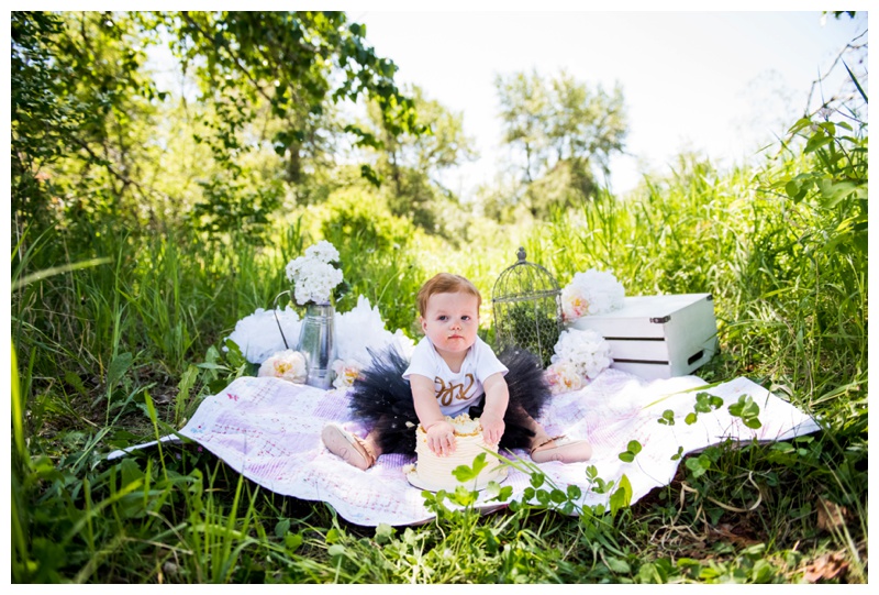 First Birthday Cake Smash Photographer