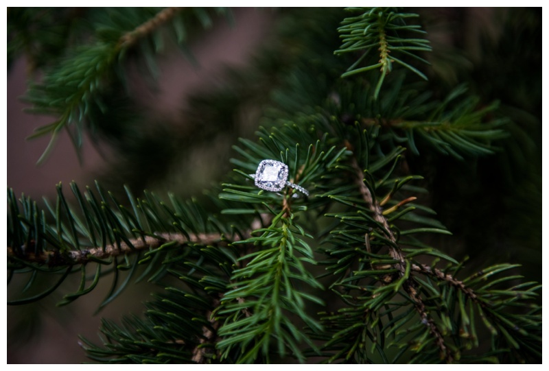 Calgary Engagement Photography