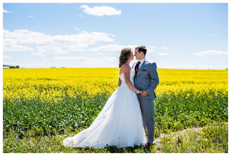 Canola Filed Wedding Photos - Calgary