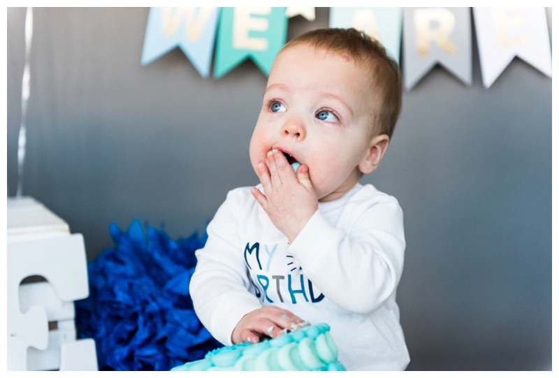 Calgary 1st Birthday Cake Smash