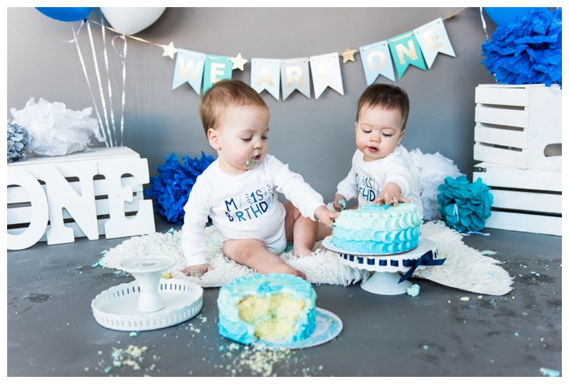 Calgary Twin Cake Smash Photography