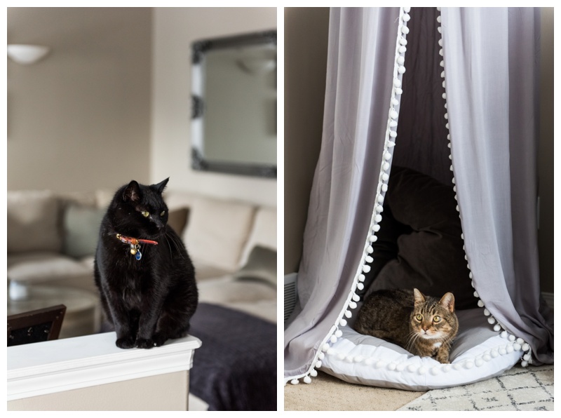 Animals In You Maternity Session - Calgary Maternity Photos