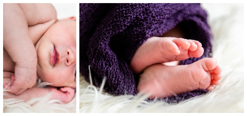 In Home Newborn Photographers Calgary