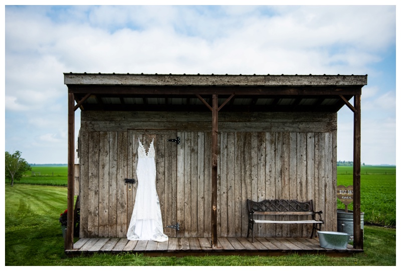 Spring Willow Lane Barn Wedding Photos