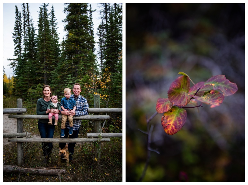 Calgary Griffith Woods Fall Family Photos