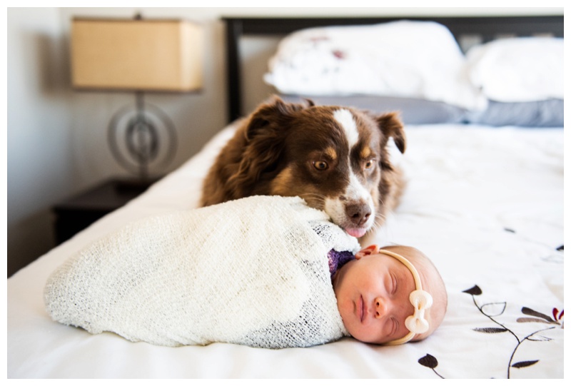 Lifestyle Newborn Photographers Calgary