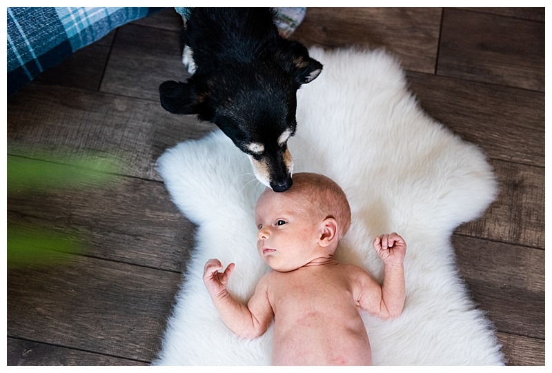 in Home High River Newborn Photographer