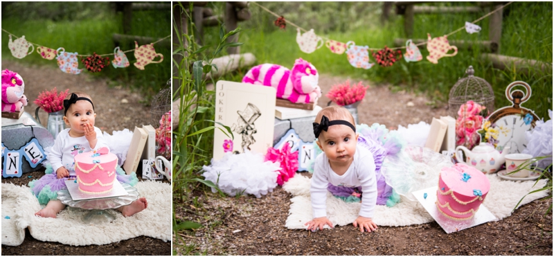 Calgary 1st Birthday Cake Smash Photography - Alice in Wonderland