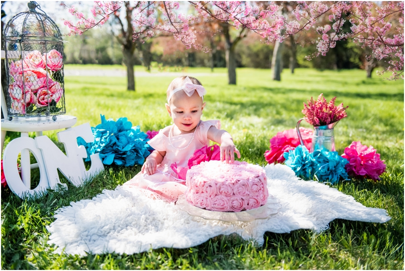 Calgary Cherry Blossom Cake Smash Session