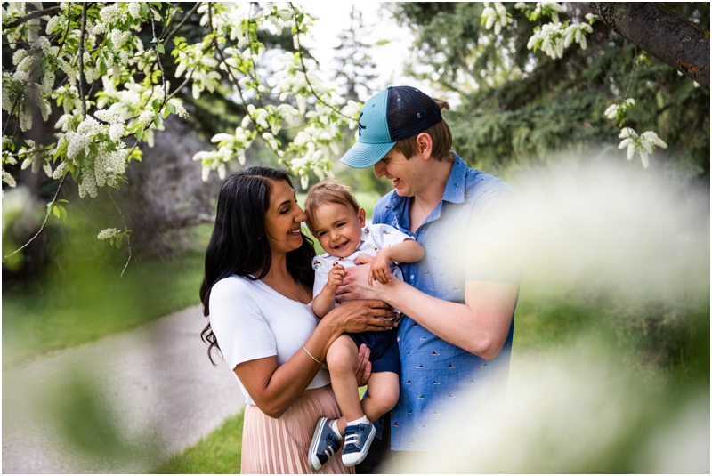 Cherry Blossom Calgary Family Photographer