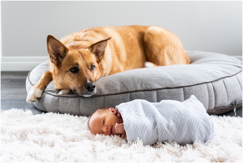 Calgary At Home Newborn Photographer