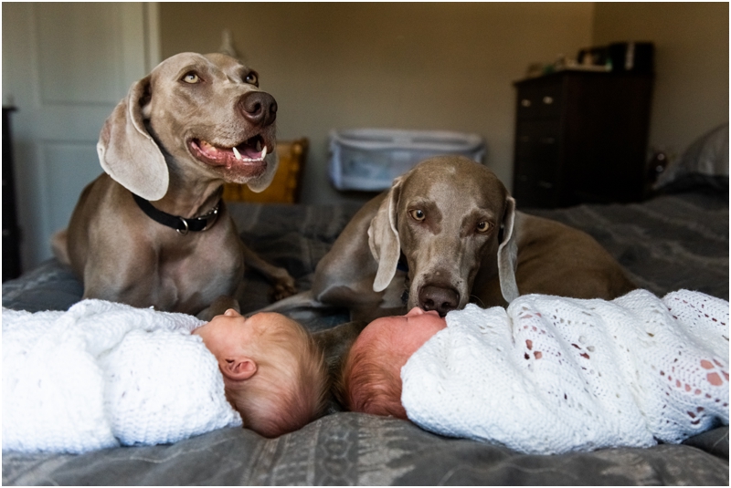 Airdrie At Home Lifestyle Newborn Photographers