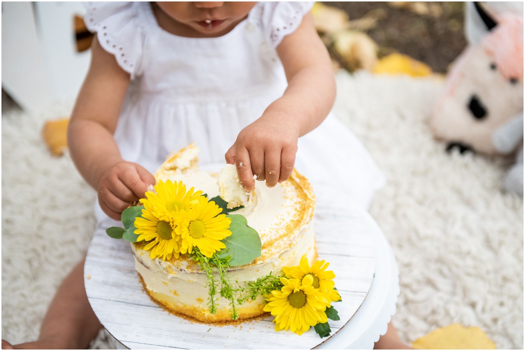 Calgary Autumn Cake Smash Photos