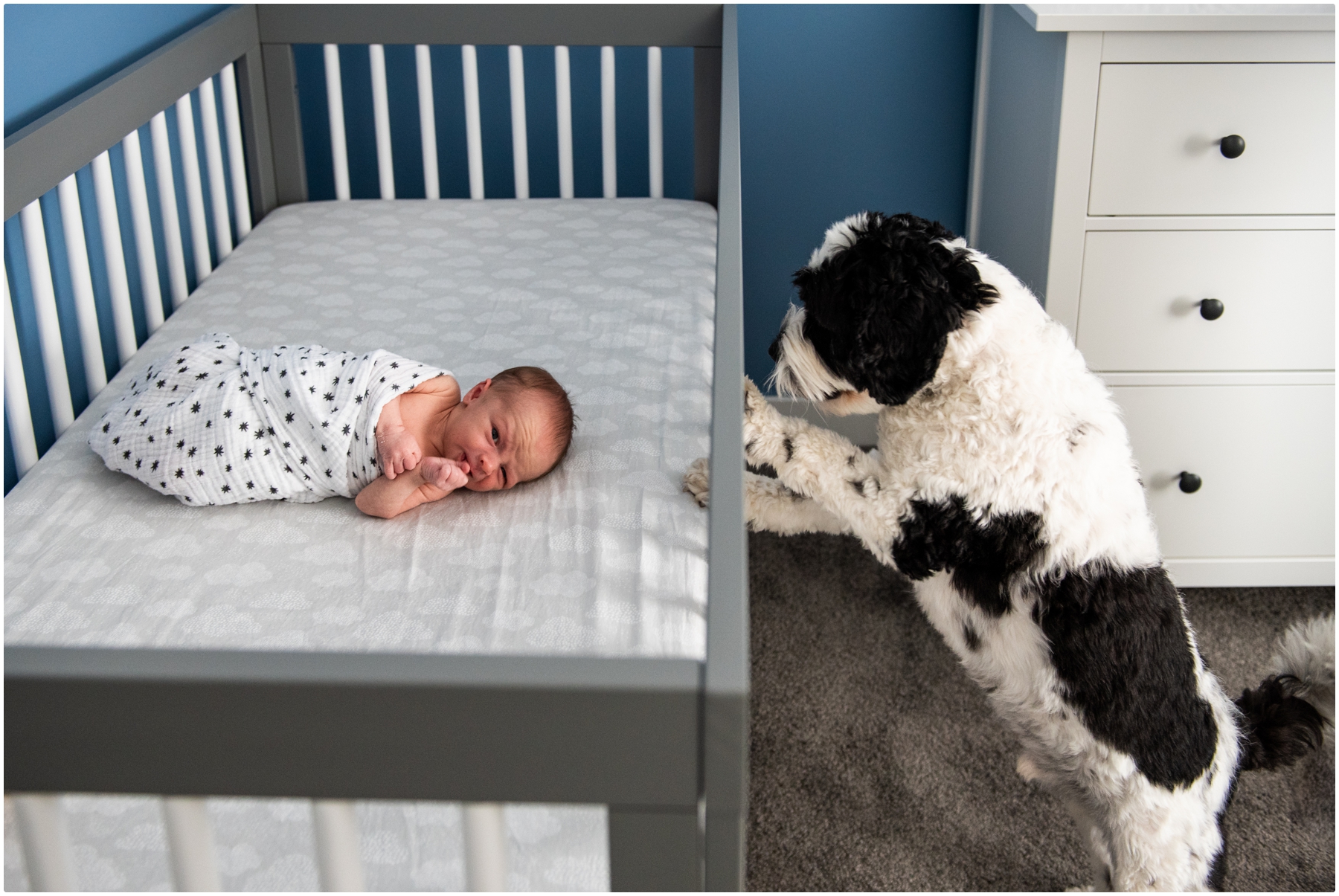 Chestermere At Home Newborn Photos