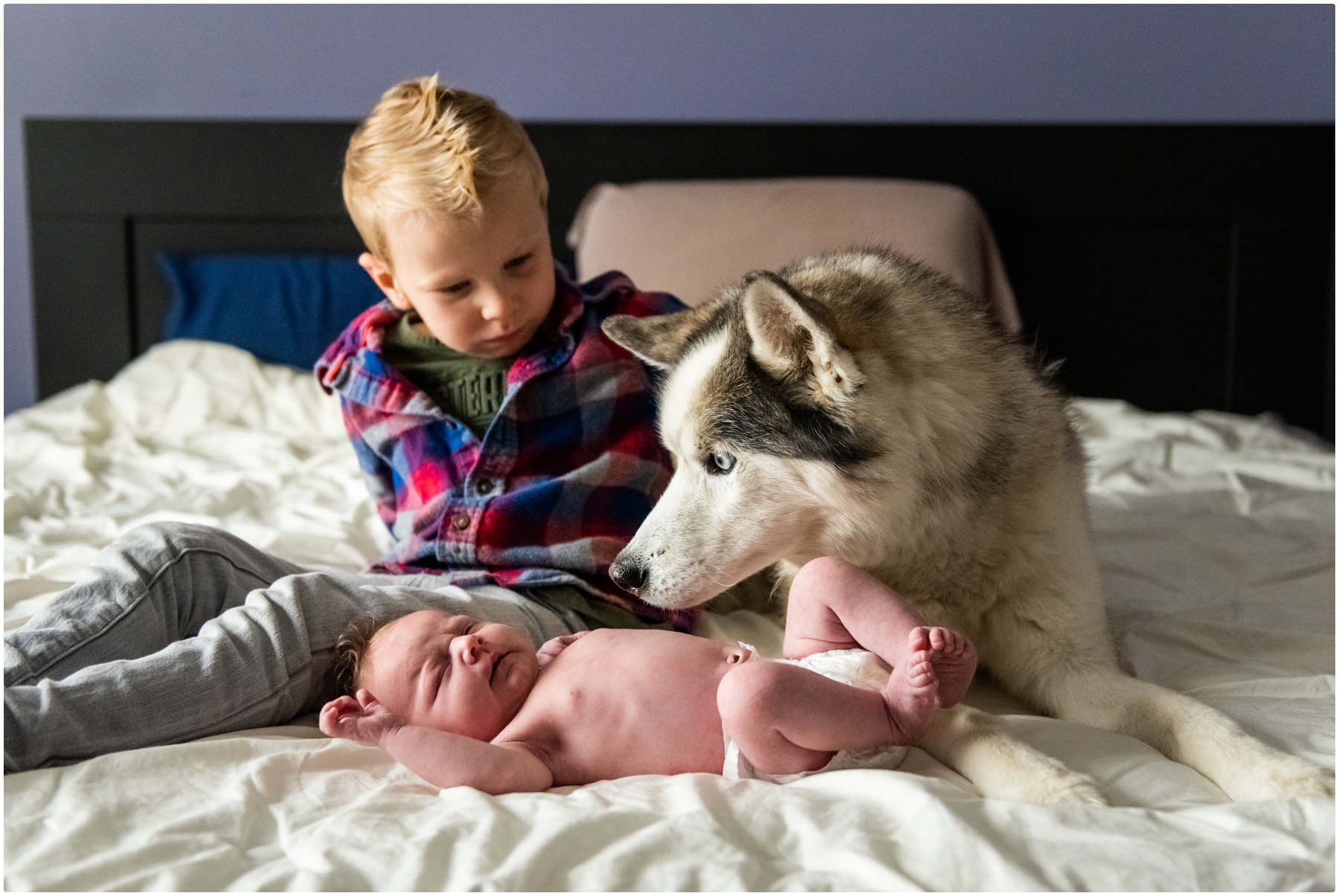 Calgary Newborn Photography- Calgary Family At Home Newborn Photos