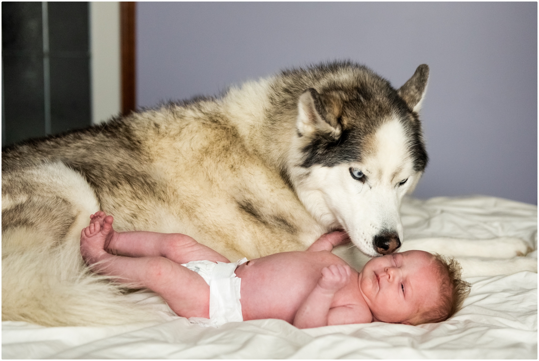 Calgary Newborn Photos- Calgary Family At Home Newborn Photos