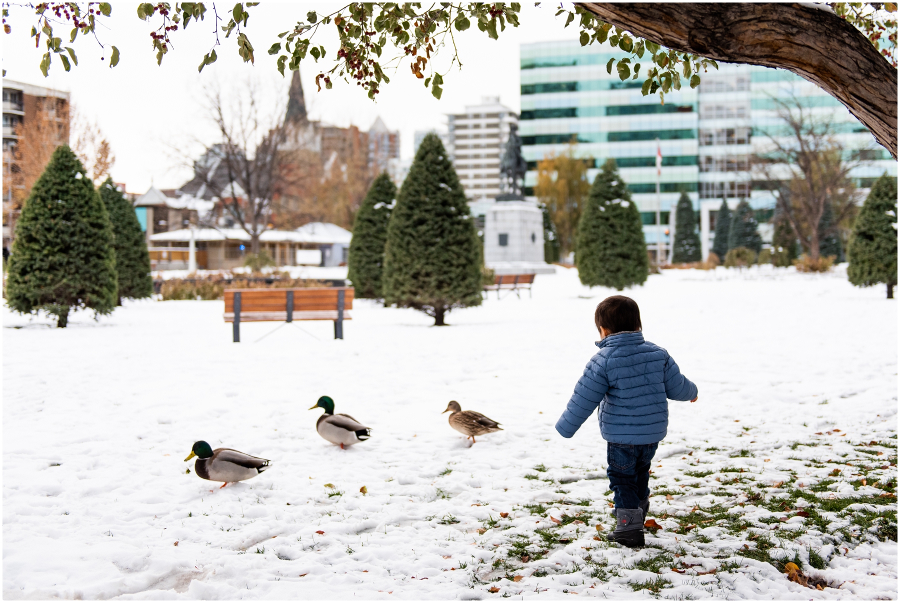 Central Memorial Park Family Photos