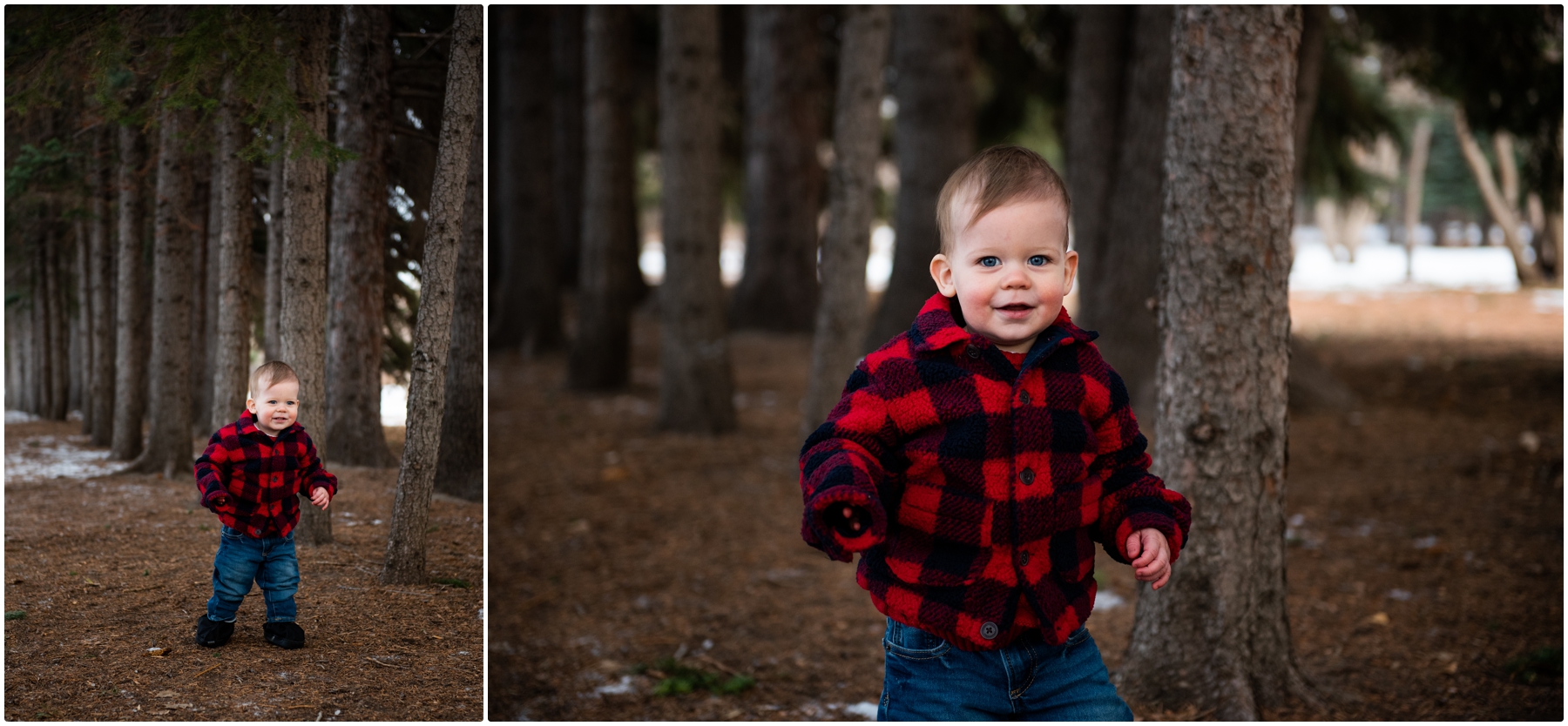 Calgary Edworthy Park Family Photographers