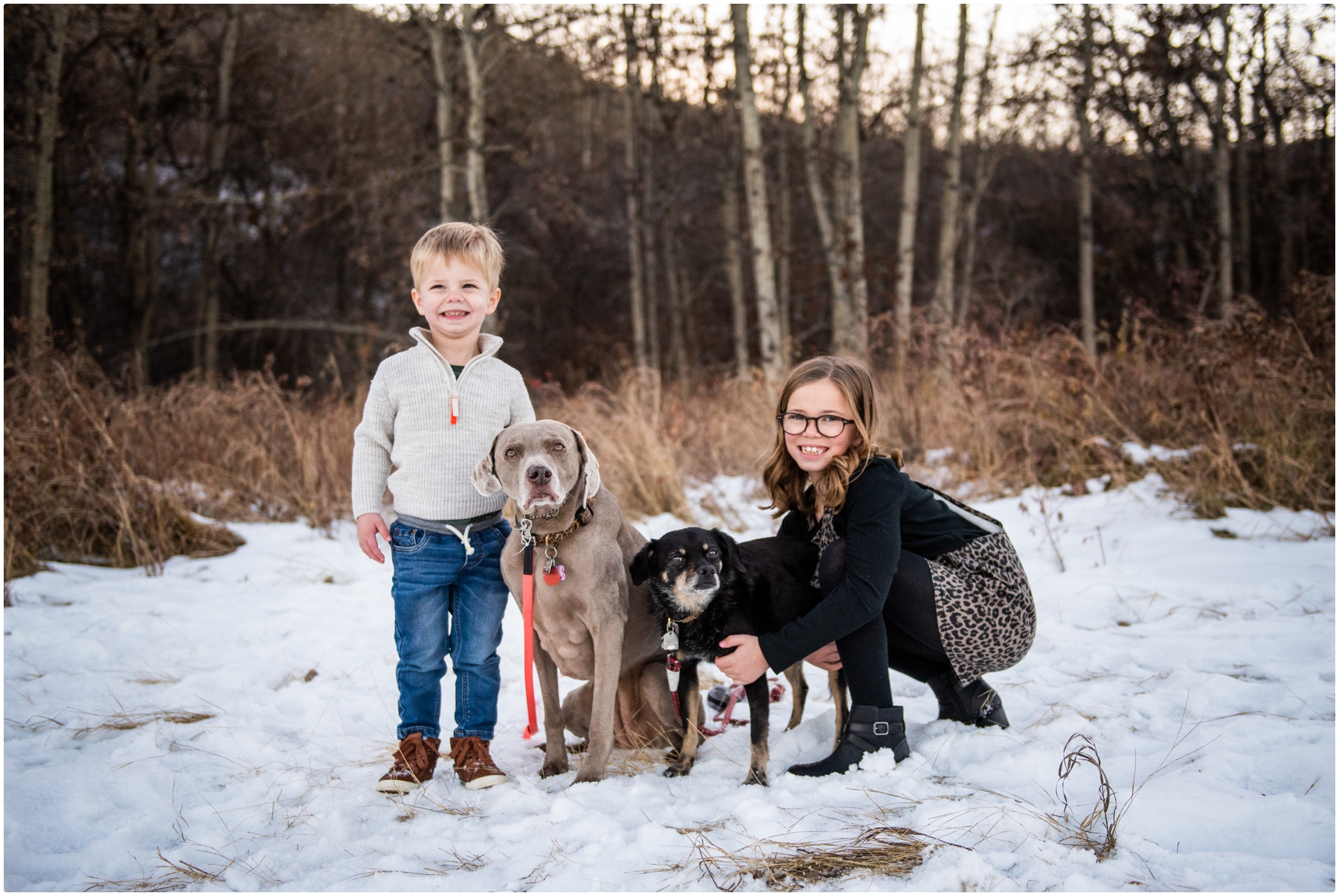 Winter Edworthy Park Family Photographers