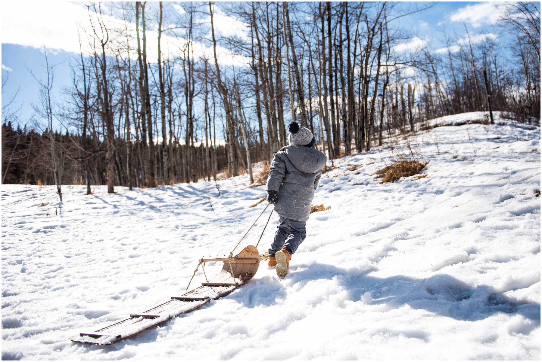 Calgary Snowball Fight Family Photographer