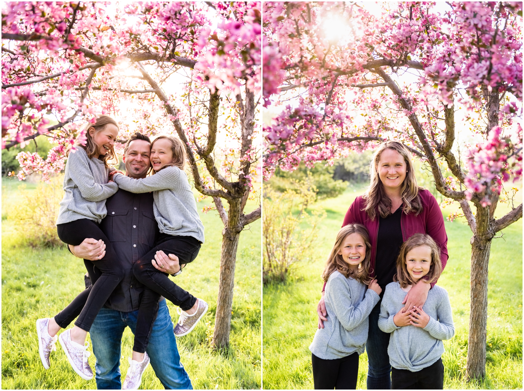 Calgary Cherry Blossom Family Photography
